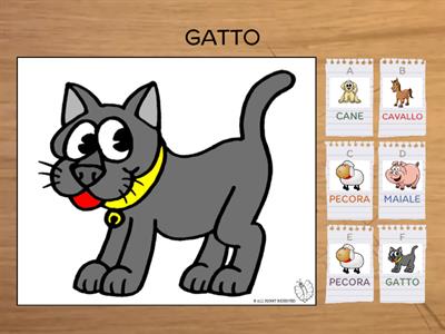 CERCA IL GATTO