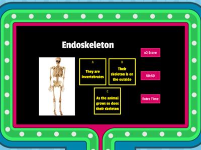 Year 3 Match statements to the type of skeleton