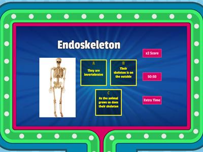 Year 3 Match statements to the type of skeleton