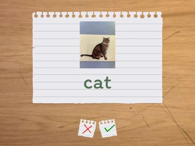 Who is sitting see and learn 