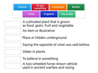 New Vocabulary 12th grade