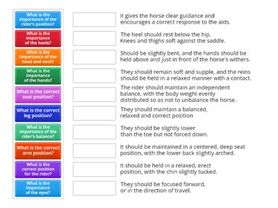 Rider position quiz