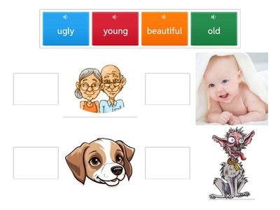 KB1 unit 4, adjectives 2