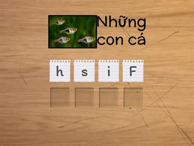 ILSS3 - Unit 2 (Review Vocab)