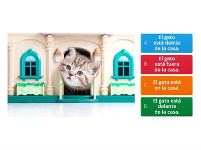 Preposition practice