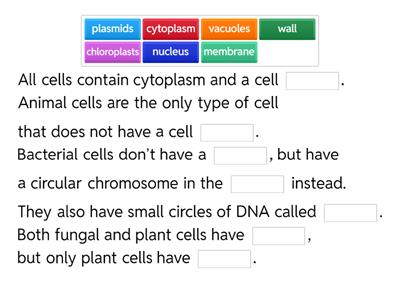 1.1 Cell types missing word summary