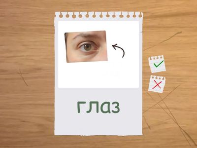 Тематическая группа слов "Внешность, части тела человека". ТРКИ, уровень В1