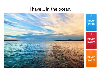 Never / Ever - present perfect