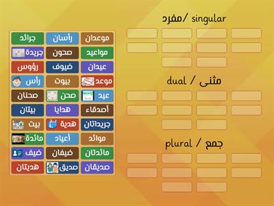   1-الصف الخامس المفرد والمثنى والجمع