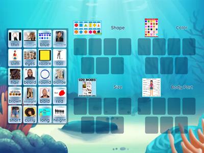 Delaney - Categories for Describing Appearance