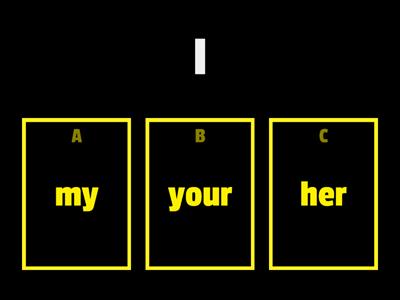 Possessive Adjectives