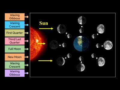 Phases of the Moon