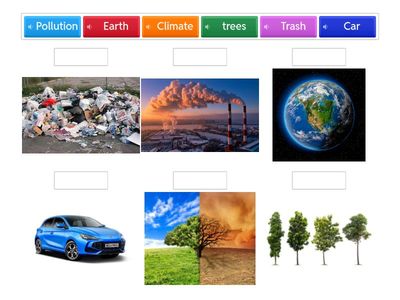 Human Impact on Environment Vocabulary 