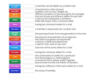 Mendelian Genetics and Inheritance