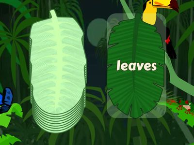 Wonders Grade 2 Unit 2 Week 5 High Frequency Words