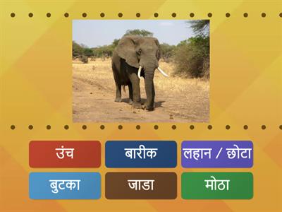 Adjectives in Marathi -1