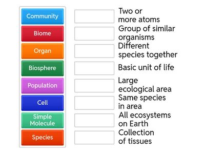 Biological Organization Levels