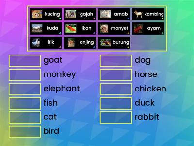 melayu ke english (malay to english) (animal) easy