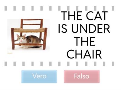 LOCALIZZATORI SPAZIALI