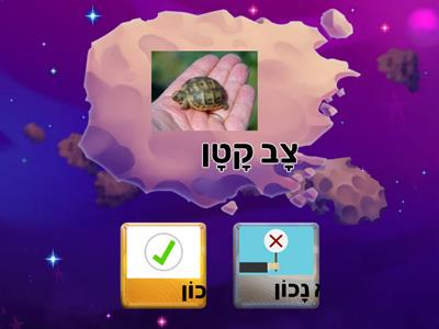 מיין את המשפטים 