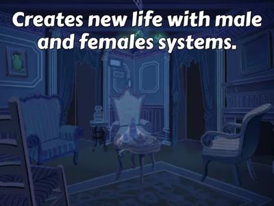 Vital Functions Fruit