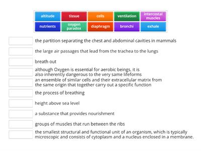 CAX KS4 Breathing structures and functions 