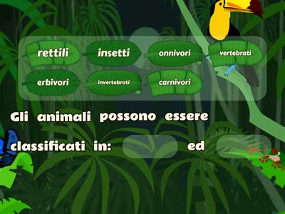 Animali 4