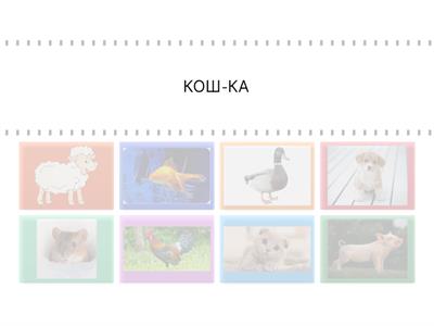 РКИ ЖИВОТНЫЕ