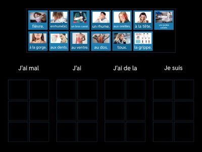 A1: Les maladies - groups