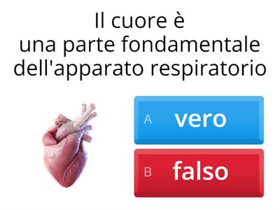 GIOCO SULLA RESPIRAZIONE