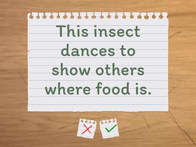 Guess What Animal Does It?