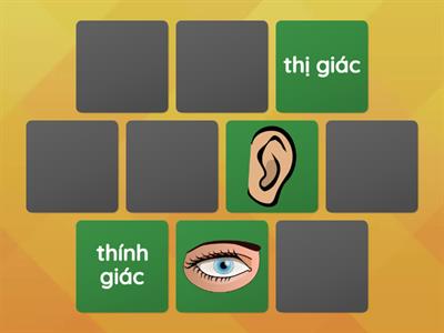 5 senses - 5 Giác quan Bubu đang lớn lên