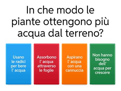 Quiz sulle piante