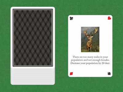 Deer Population Study