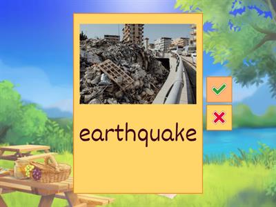 Changes to Earth's Surface Leirer 4th Grade