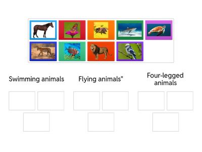 Classify the things around us!