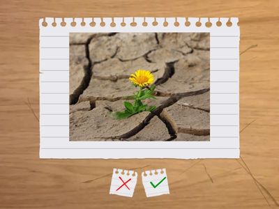 Learn the Action Words