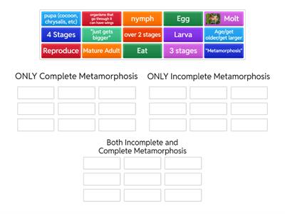 Incomplete vs Complete Life Cycles: SORT WORDS