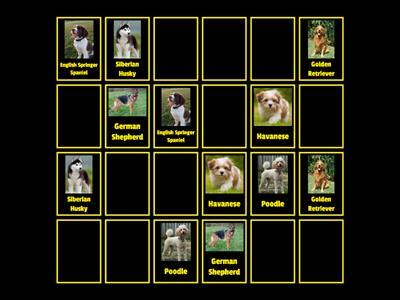 Match The Dog Breeds!