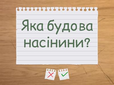 Насінні рослини. Насінина 