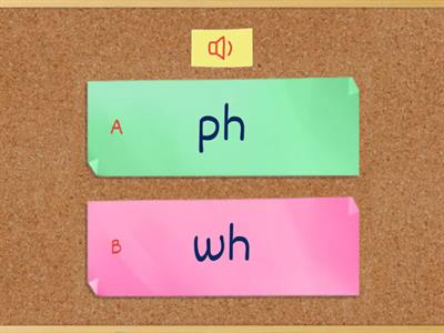 Super Fun 5- Phonics 2 (wh / ph)