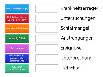 Wortschatz - Schlafforschung - Was passt zusammen?