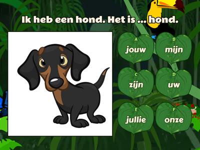 Groep 7: B7W2L3 bezittelijk voornaamwoord 