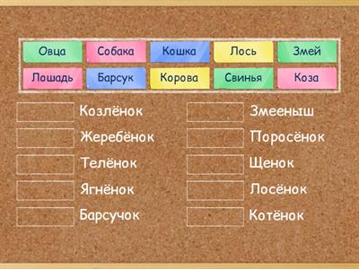 Животные. Родители и дети 