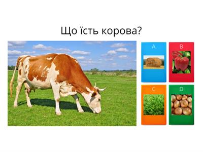 Хто,що їсть?