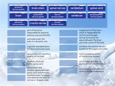 Parts of the Nervous system