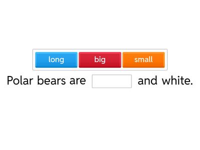 Polar bears sentence practice