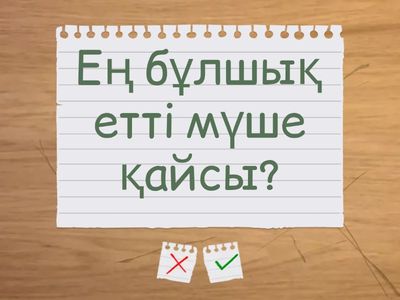  Бұлшық еттердің қозғалысы