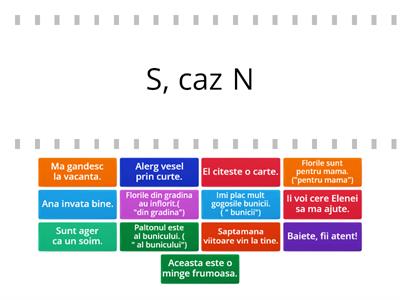 Substantiv - cazuri si functii sintactice