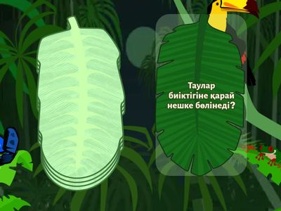 8 а сыныбына сұрақтар: